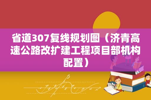 省道307复线规划图（济青高速公路改扩建工程项目部机构配置）