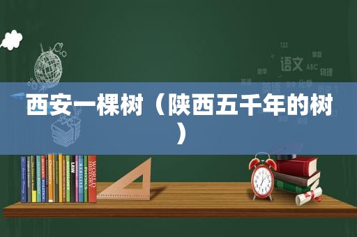 西安一棵树（陕西五千年的树）