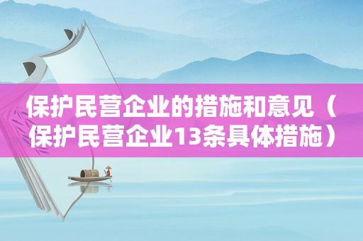 保护民营企业的措施和意见（保护民营企业13条具体措施）