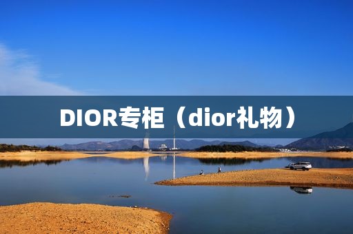 DIOR专柜（dior礼物）