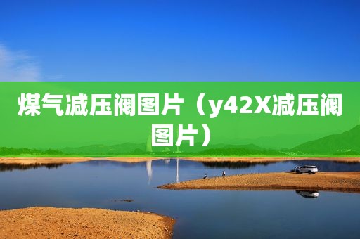 煤气减压阀图片（y42X减压阀图片）