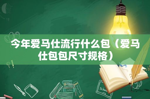 今年爱马仕流行什么包（爱马仕包包尺寸规格）