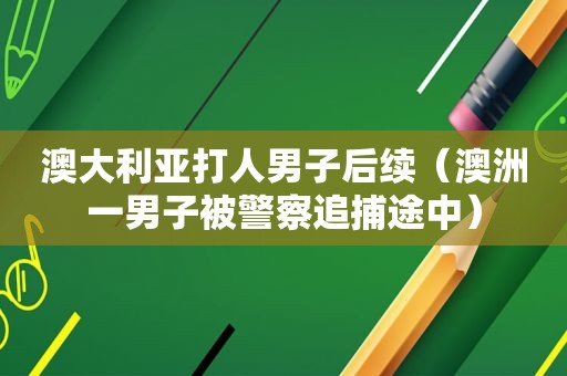 澳大利亚打人男子后续（澳洲一男子被警察追捕途中）