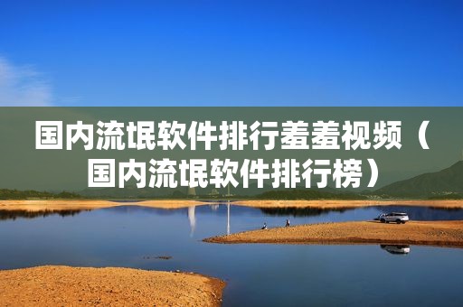 国内流氓软件排行羞羞视频（国内流氓软件排行榜）