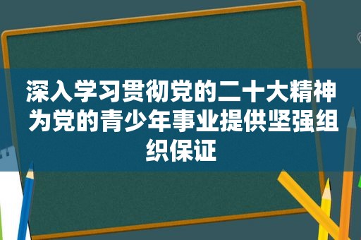 深入学习贯彻党的二十大精神 为党的青少年事业提供坚强组织保证