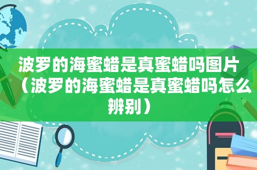 波罗的海蜜蜡是真蜜蜡吗图片（波罗的海蜜蜡是真蜜蜡吗怎么辨别）