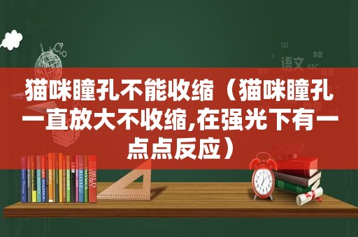 猫咪瞳孔不能收缩（猫咪瞳孔一直放大不收缩,在强光下有一点点反应）