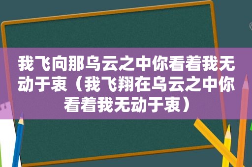 我飞向那乌云之中你看着我无动于衷（我飞翔在乌云之中你看着我无动于衷）