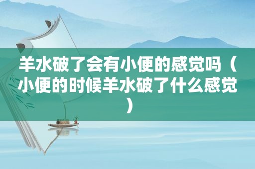 羊水破了会有小便的感觉吗（小便的时候羊水破了什么感觉）