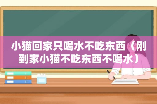 小猫回家只喝水不吃东西（刚到家小猫不吃东西不喝水）