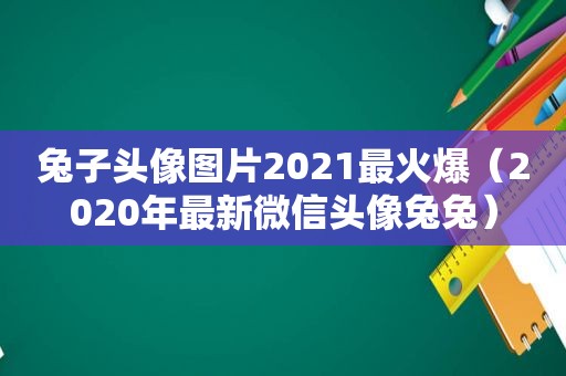 兔子头像图片2021最火爆（2020年最新微信头像兔兔）