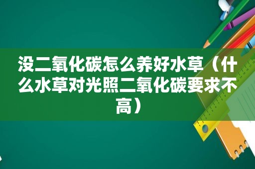 没二氧化碳怎么养好水草（什么水草对光照二氧化碳要求不高）