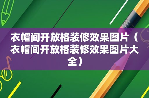 衣帽间开放格装修效果图片（衣帽间开放格装修效果图片大全）