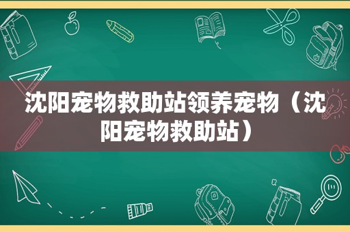 沈阳宠物救助站领养宠物（沈阳宠物救助站）