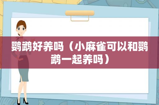 鹦鹉好养吗（小麻雀可以和鹦鹉一起养吗）