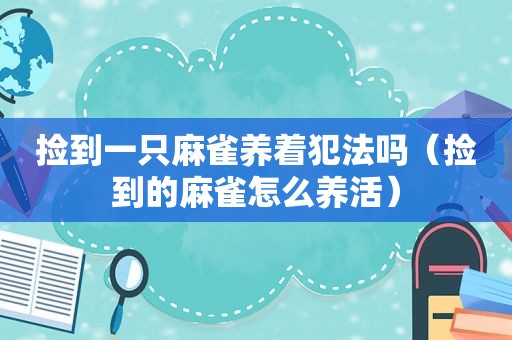 捡到一只麻雀养着犯法吗（捡到的麻雀怎么养活）