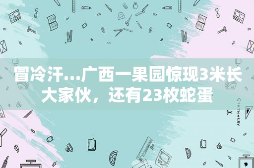 冒冷汗…广西一果园惊现3米长大家伙，还有23枚蛇蛋