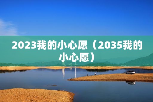 2023我的小心愿（2035我的小心愿）