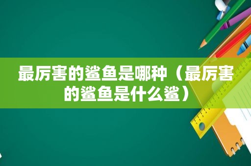 最厉害的鲨鱼是哪种（最厉害的鲨鱼是什么鲨）