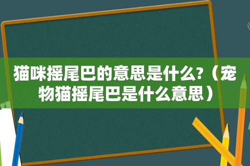 猫咪摇尾巴的意思是什么?（宠物猫摇尾巴是什么意思）