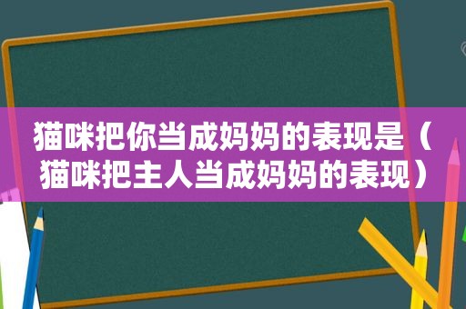 猫咪把你当成妈妈的表现是（猫咪把主人当成妈妈的表现）