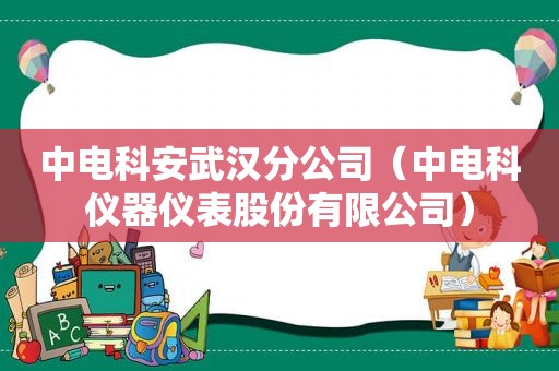 中电科安武汉分公司（中电科仪器仪表股份有限公司）