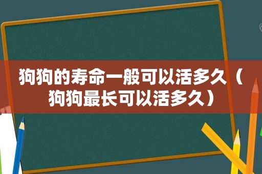 狗狗的寿命一般可以活多久（狗狗最长可以活多久）