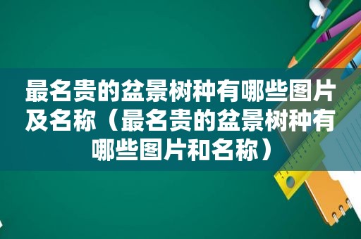 最名贵的盆景树种有哪些图片及名称（最名贵的盆景树种有哪些图片和名称）