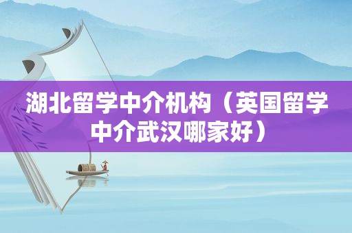 湖北留学中介机构（英国留学中介武汉哪家好）