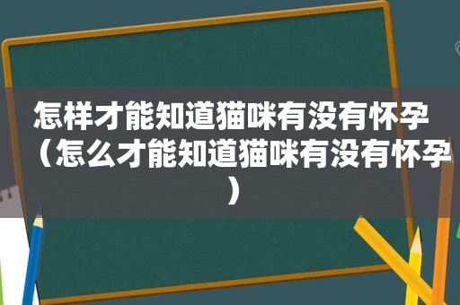 怎样才能知道猫咪有没有怀孕（怎么才能知道猫咪有没有怀孕）