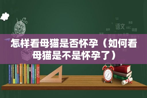 怎样看母猫是否怀孕（如何看母猫是不是怀孕了）