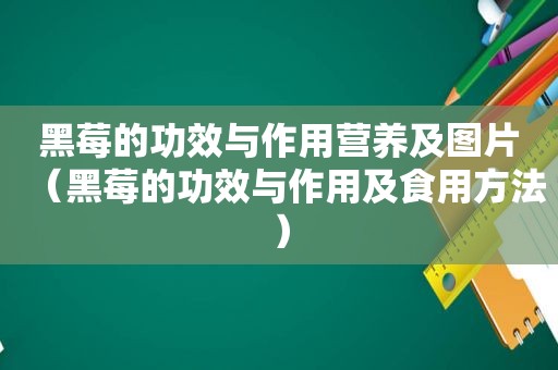 黑莓的功效与作用营养及图片（黑莓的功效与作用及食用方法）