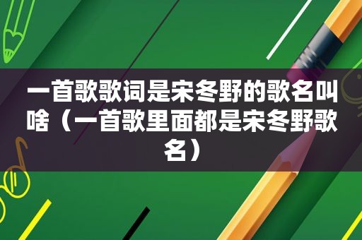 一首歌歌词是宋冬野的歌名叫啥（一首歌里面都是宋冬野歌名）