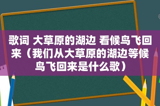 歌词 大草原的湖边 看候鸟飞回来（我们从大草原的湖边等候鸟飞回来是什么歌）