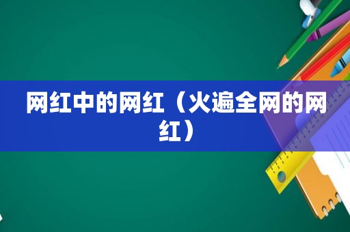 网 *** 的网红（火遍全网的网红）