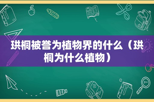 珙桐被誉为植物界的什么（珙桐为什么植物）