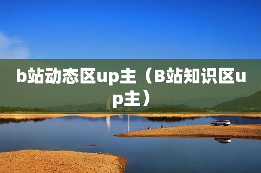 b站动态区up主（B站知识区up主）