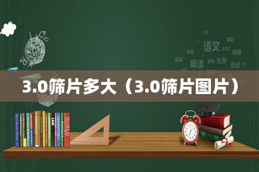 3.0筛片多大（3.0筛片图片）