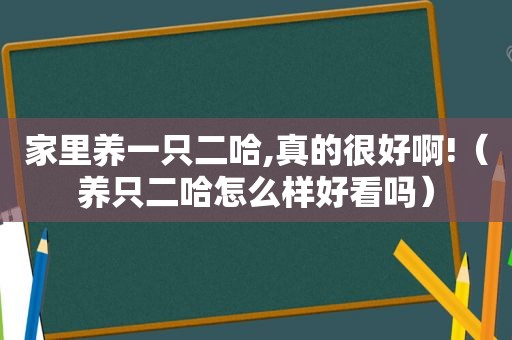 家里养一只二哈,真的很好啊!（养只二哈怎么样好看吗）