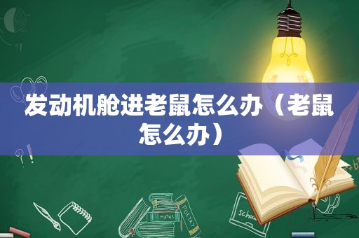 发动机舱进老鼠怎么办（老鼠怎么办）