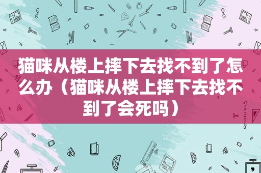 猫咪从楼上摔下去找不到了怎么办（猫咪从楼上摔下去找不到了会死吗）