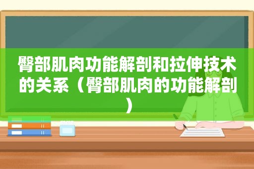 臀部肌肉功能解剖和拉伸技术的关系（臀部肌肉的功能解剖）