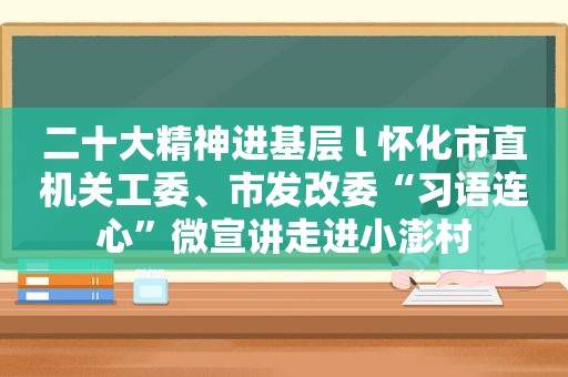 二十大精神进基层 l 怀化市直机关工委、市发改委“习语连心”微宣讲走进小澎村