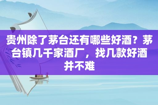 贵州除了茅台还有哪些好酒？茅台镇几千家酒厂，找几款好酒并不难