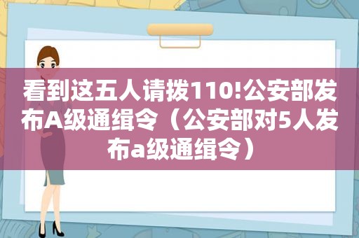 看到这五人请拨110!公安部发布A级通缉令（公安部对5人发布a级通缉令）