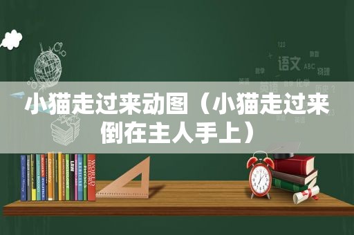 小猫走过来动图（小猫走过来倒在主人手上）