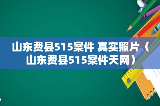 山东费县515案件 真实照片（山东费县515案件天网）