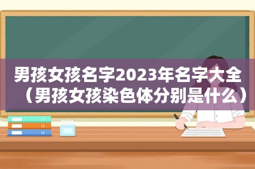 男孩女孩名字2023年名字大全（男孩女孩染色体分别是什么）