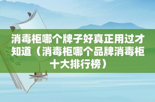 消毒柜哪个牌子好真正用过才知道（消毒柜哪个品牌消毒柜十大排行榜）