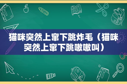 猫咪突然上窜下跳炸毛（猫咪突然上窜下跳嗷嗷叫）